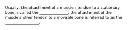 Usually, the attachment of a muscle's tendon to a stationary bone is called the _______________; the attachment of the muscle's other tendon to a movable bone is referred to as the __________________.