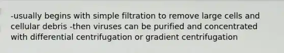 -usually begins with simple filtration to remove large cells and cellular debris -then viruses can be purified and concentrated with differential centrifugation or gradient centrifugation