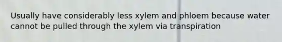 Usually have considerably less xylem and phloem because water cannot be pulled through the xylem via transpiration