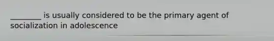 ________ is usually considered to be the primary agent of socialization in adolescence