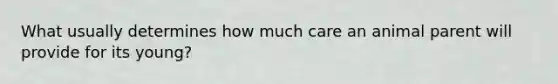 What usually determines how much care an animal parent will provide for its young?