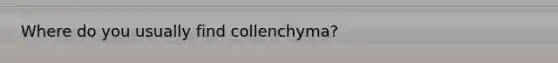 Where do you usually find collenchyma?