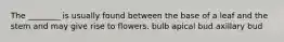 The ________ is usually found between the base of a leaf and the stem and may give rise to flowers. bulb apical bud axillary bud