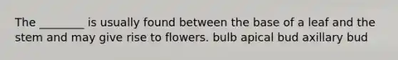 The ________ is usually found between the base of a leaf and the stem and may give rise to flowers. bulb apical bud axillary bud