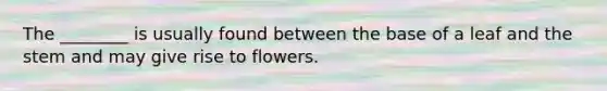 The ________ is usually found between the base of a leaf and the stem and may give rise to flowers.