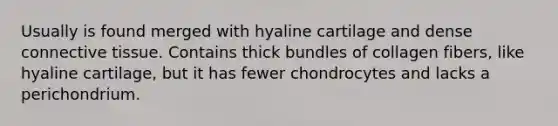 Usually is found merged with hyaline cartilage and dense connective tissue. Contains thick bundles of collagen fibers, like hyaline cartilage, but it has fewer chondrocytes and lacks a perichondrium.