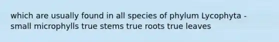 which are usually found in all species of phylum Lycophyta - small microphylls true stems true roots true leaves