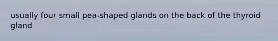 usually four small pea-shaped glands on the back of the thyroid gland