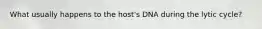 What usually happens to the host's DNA during the lytic cycle?