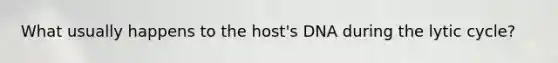 What usually happens to the host's DNA during the lytic cycle?