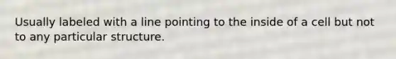 Usually labeled with a line pointing to the inside of a cell but not to any particular structure.
