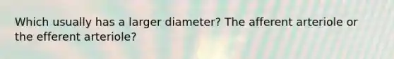 Which usually has a larger diameter? The afferent arteriole or the efferent arteriole?