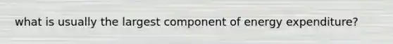 what is usually the largest component of energy expenditure?