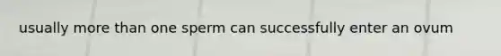 usually more than one sperm can successfully enter an ovum