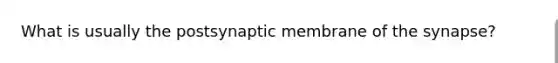 What is usually the postsynaptic membrane of the synapse?