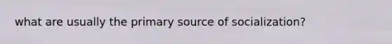 what are usually the primary source of socialization?