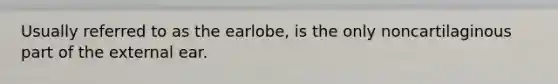 Usually referred to as the earlobe, is the only noncartilaginous part of the external ear.