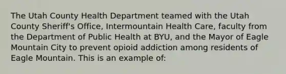 The Utah County Health Department teamed with the Utah County Sheriff's Office, Intermountain Health Care, faculty from the Department of Public Health at BYU, and the Mayor of Eagle Mountain City to prevent opioid addiction among residents of Eagle Mountain. This is an example of: