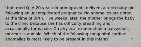 Utah med Q: A 20-year-old primigravida delivers a term baby girl following an uncomplicated pregnancy. No anomalies are noted at the time of birth. Five weeks later, the mother brings the baby to the clinic because she has difficulty breathing and occasionally turns pale. On physical examination a pansystolic murmur is audible. Which of the following congenital cardiac anomalies is most likely to be present in this infant?