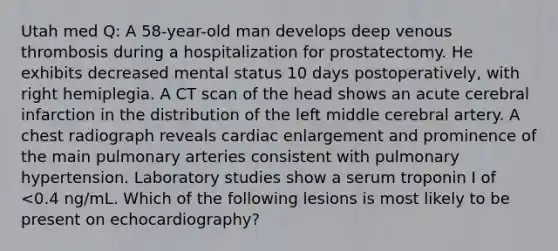 Utah med Q: A 58-year-old man develops deep venous thrombosis during a hospitalization for prostatectomy. He exhibits decreased mental status 10 days postoperatively, with right hemiplegia. A CT scan of the head shows an acute cerebral infarction in the distribution of the left middle cerebral artery. A chest radiograph reveals cardiac enlargement and prominence of the main pulmonary arteries consistent with pulmonary hypertension. Laboratory studies show a serum troponin I of <0.4 ng/mL. Which of the following lesions is most likely to be present on echocardiography?