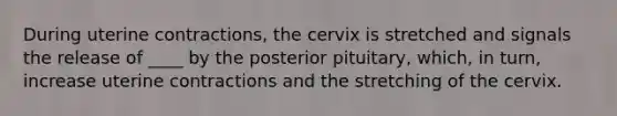 During uterine contractions, the cervix is stretched and signals the release of ____ by the posterior pituitary, which, in turn, increase uterine contractions and the stretching of the cervix.