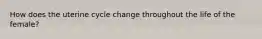 How does the uterine cycle change throughout the life of the female?