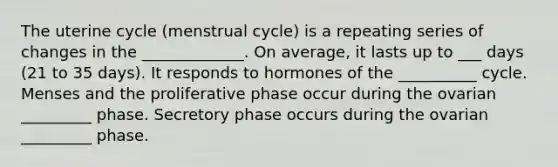 The uterine cycle (menstrual cycle) is a repeating series of changes in the _____________. On average, it lasts up to ___ days (21 to 35 days). It responds to hormones of the __________ cycle. Menses and the proliferative phase occur during the ovarian _________ phase. Secretory phase occurs during the ovarian _________ phase.