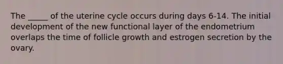 The _____ of the uterine cycle occurs during days 6-14. The initial development of the new functional layer of the endometrium overlaps the time of follicle growth and estrogen secretion by the ovary.