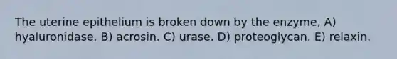 The uterine epithelium is broken down by the enzyme, A) hyaluronidase. B) acrosin. C) urase. D) proteoglycan. E) relaxin.