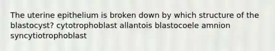 The uterine epithelium is broken down by which structure of the blastocyst? cytotrophoblast allantois blastocoele amnion syncytiotrophoblast