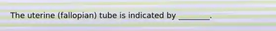 The uterine (fallopian) tube is indicated by ________.