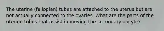 The uterine (fallopian) tubes are attached to the uterus but are not actually connected to the ovaries. What are the parts of the uterine tubes that assist in moving the secondary oocyte?