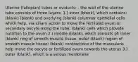 Uterine (fallopian) tubes or oviducts: - the wall of the uterine tube consists of three layers: 1.) inner (blank), which contains: (blank) (blank) and overlying (blank) columnar epithelial cells which help, via ciliary action to move the fertilized ovum or secondary oocyte along the tube; (blank) cells which provide nutrition to the ovum 2.) middle (blank), which consists of: inner (blank) ring of smooth muscle tissue; outer (blank) region of smooth muscle tissue; (blank) contractions of the muscularis help move the oocyte or fertilized ovum towards the uterus 3.) outer (blank), which is a serous membrane