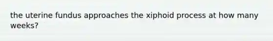 the uterine fundus approaches the xiphoid process at how many weeks?