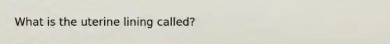 What is the uterine lining called?
