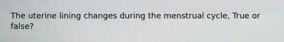 The uterine lining changes during the menstrual cycle, True or false?