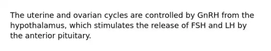 The uterine and ovarian cycles are controlled by GnRH from the hypothalamus, which stimulates the release of FSH and LH by the anterior pituitary.