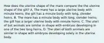 How does the uterine shape of the mare compare the the uterine shape of the gilt? A. The mare has a large uterine body with minute horns; the gilt has a minute body with long, slender horns. B. The mare has a minute body with long, slender horns; the gilt has a larger uterine body with minute horns. C. The uteri of bot animals are similar in shape with embryos developing in one of the two long horns. D. The uteri of both animals are similar in shape with embryos developing solely in the uterine body.