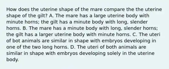 How does the uterine shape of the mare compare the the uterine shape of the gilt? A. The mare has a large uterine body with minute horns; the gilt has a minute body with long, slender horns. B. The mare has a minute body with long, slender horns; the gilt has a larger uterine body with minute horns. C. The uteri of bot animals are similar in shape with embryos developing in one of the two long horns. D. The uteri of both animals are similar in shape with embryos developing solely in the uterine body.