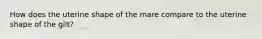 How does the uterine shape of the mare compare to the uterine shape of the gilt?