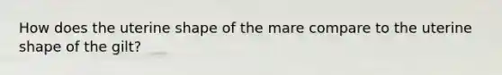 How does the uterine shape of the mare compare to the uterine shape of the gilt?