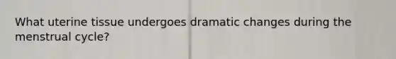 What uterine tissue undergoes dramatic changes during the menstrual cycle?