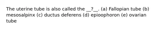 The uterine tube is also called the __?__. (a) Fallopian tube (b) mesosalpinx (c) ductus deferens (d) epioophoron (e) ovarian tube