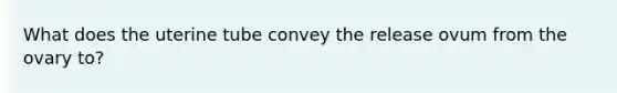 What does the uterine tube convey the release ovum from the ovary to?