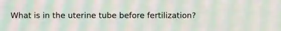 What is in the uterine tube before fertilization?