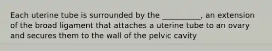 Each uterine tube is surrounded by the __________, an extension of the broad ligament that attaches a uterine tube to an ovary and secures them to the wall of the pelvic cavity