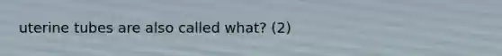 uterine tubes are also called what? (2)