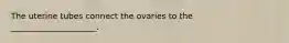The uterine tubes connect the ovaries to the _____________________.