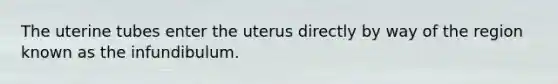 The uterine tubes enter the uterus directly by way of the region known as the infundibulum.