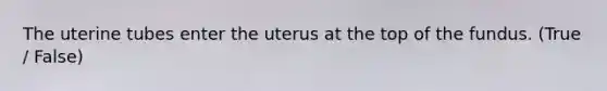 The uterine tubes enter the uterus at the top of the fundus. (True / False)